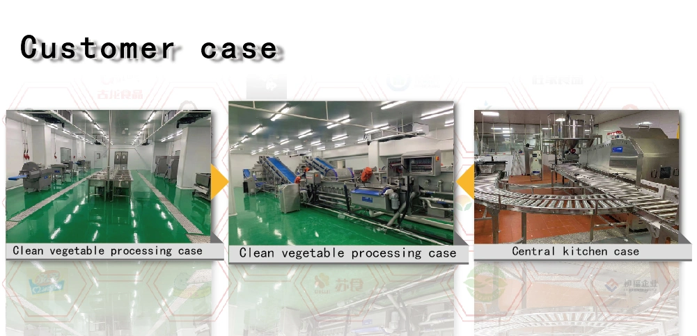 White Radish Potato Pineapple Green Pepper Apple Ham Papaya or Other High-Speed Dicing Machine Vegetable Washing Machine, Meat Washing Machine, Cooking Machine,