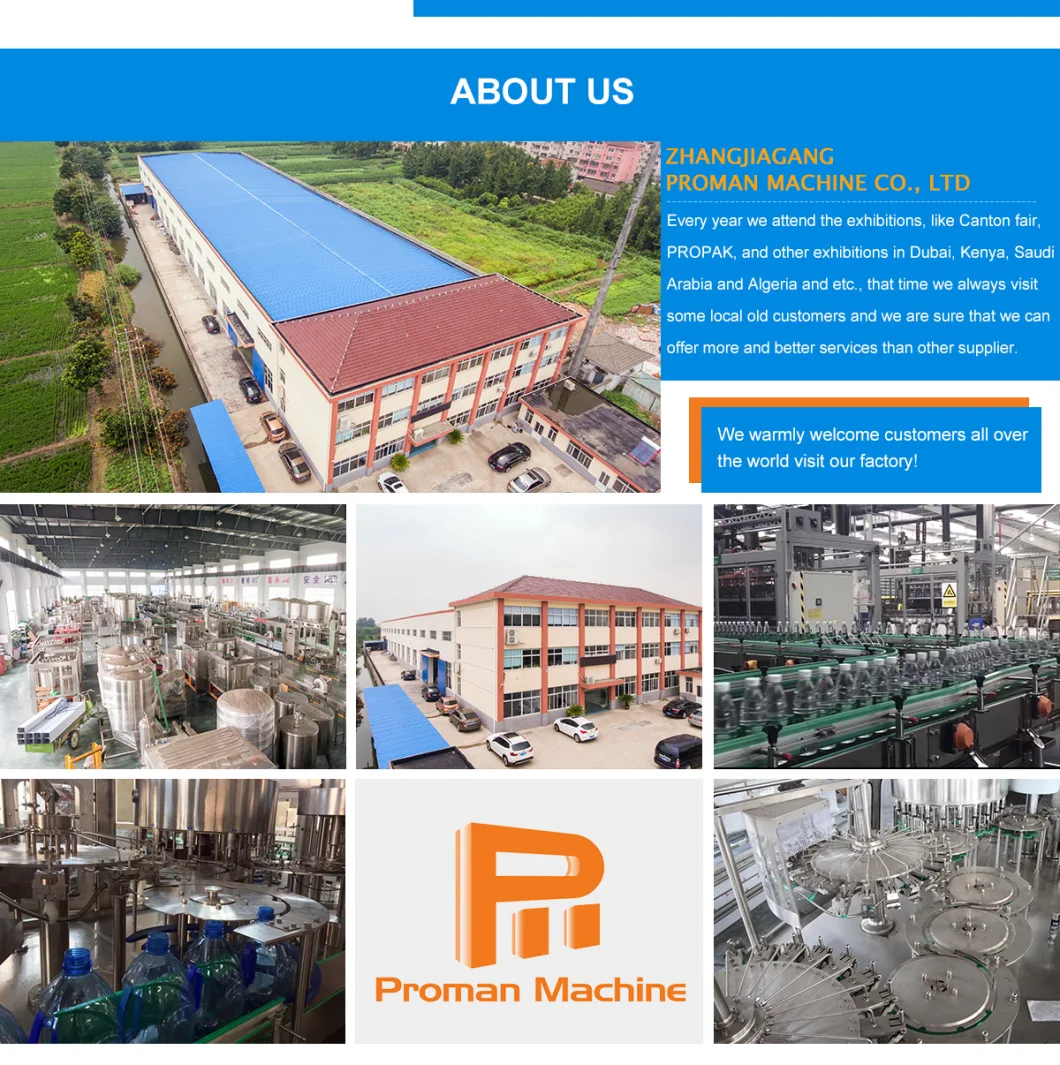 10, 000bph Pet Plastic Bottles Factory Manufacturer Price Mineral Pure Aqua Flavor Water Sparking Drink Juice Carbonate CO2 Washing Filling Capping 3in1 Line