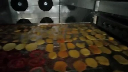 Máquina secadora industrial de frutas e vegetais para vários alimentos, peixe, tomate