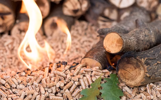 Energia de biocombustível Casca de Arroz Serragem Pó de Bambu Ramos de Árvores Granulador Máquina de Prensa de Briquete/Anel Plano Die 1t/H 2t Agricultura Biomassa Máquina de Pelotas de Madeira